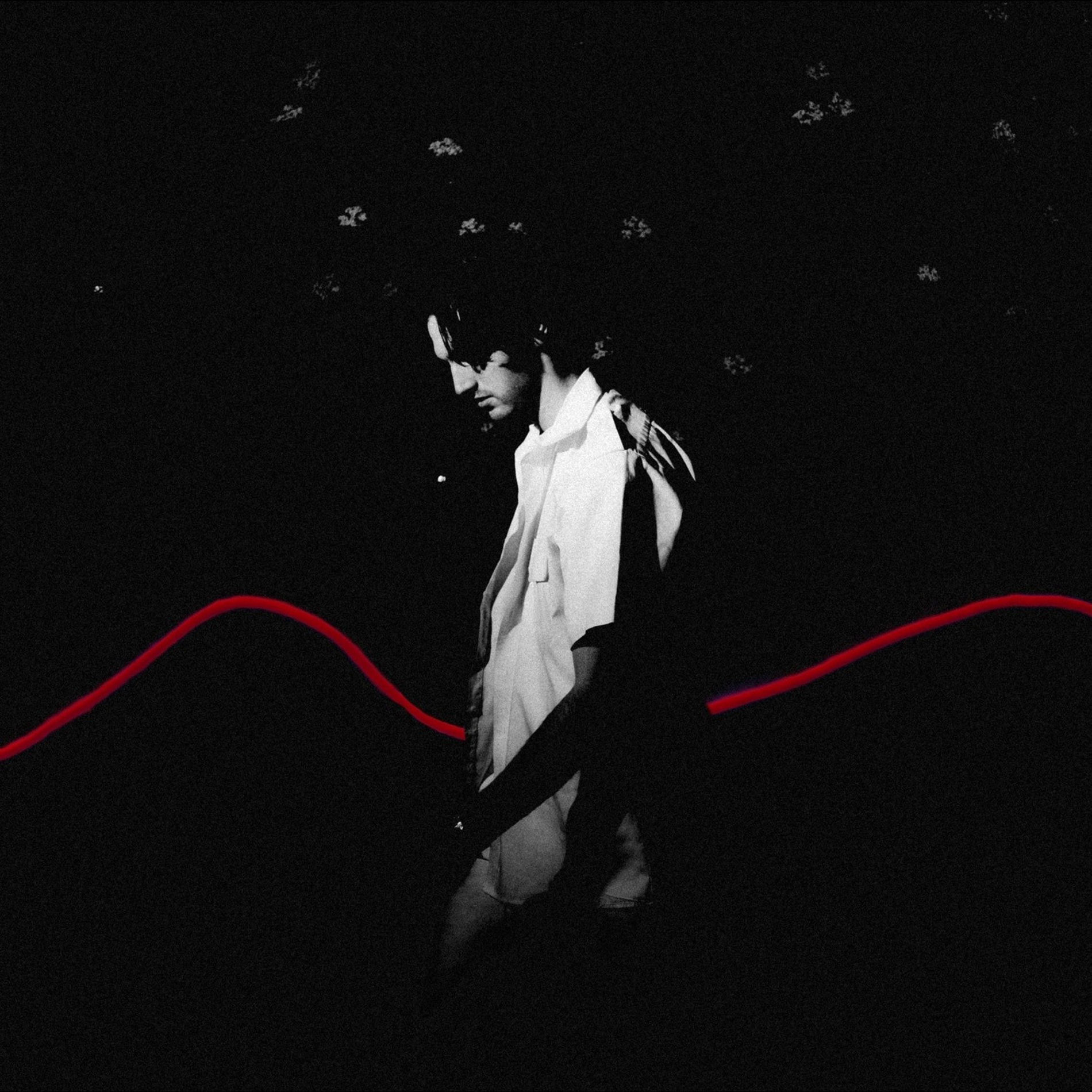 Album cover of The Red Line Theory