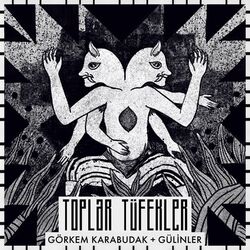 Cover of Toplar Tüfekler