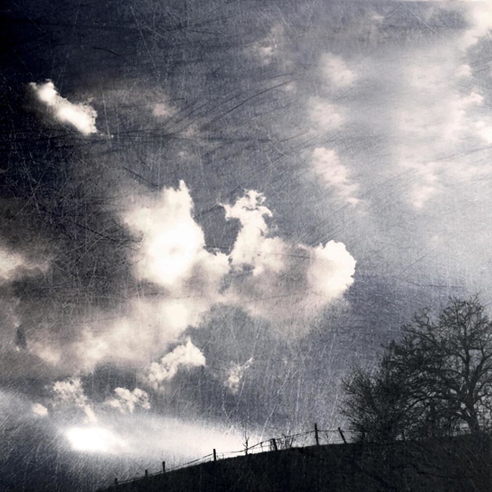 Picture of Gloaming