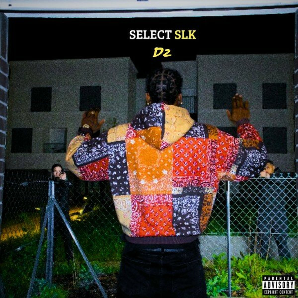 Album cover of D2