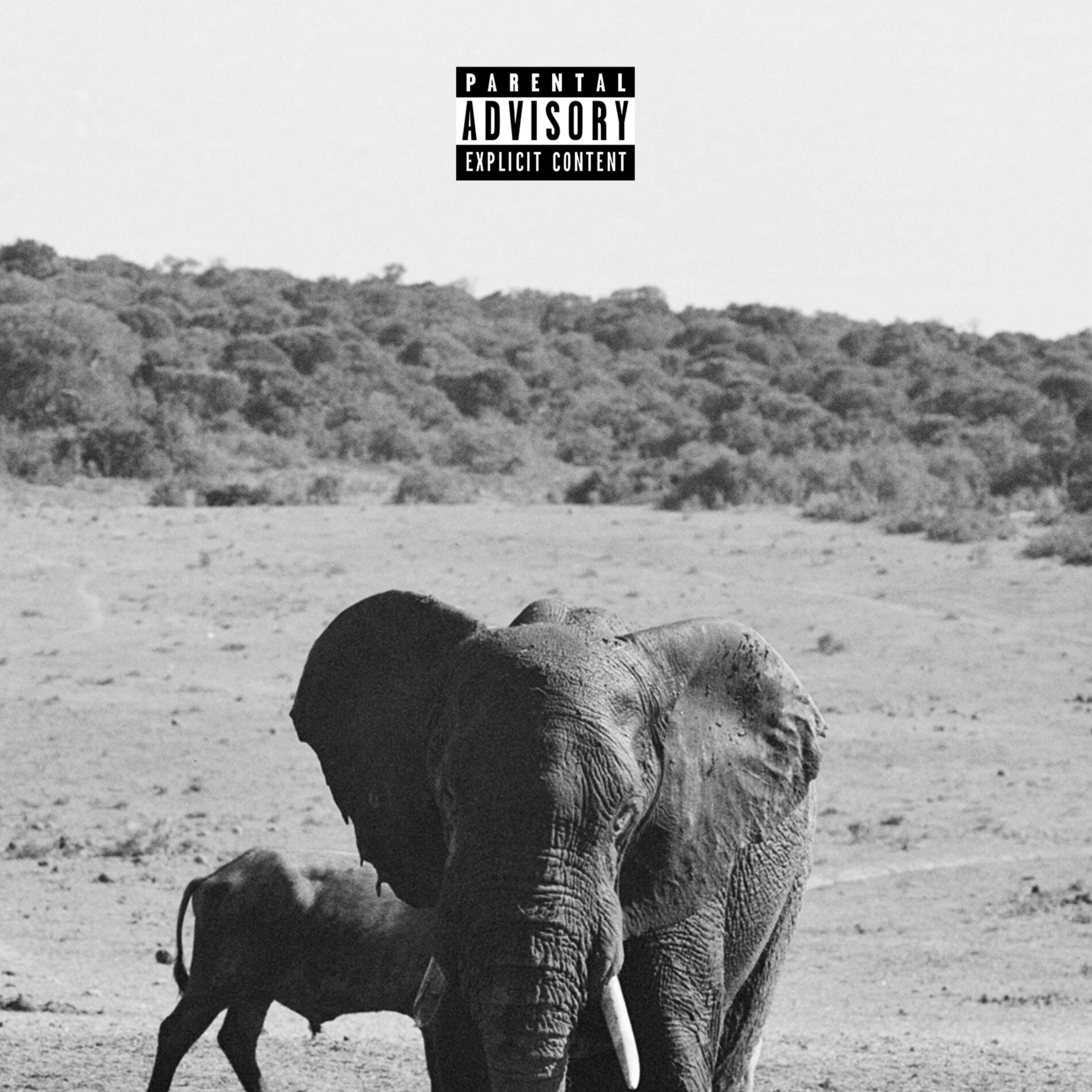 Album cover of IT'S OK