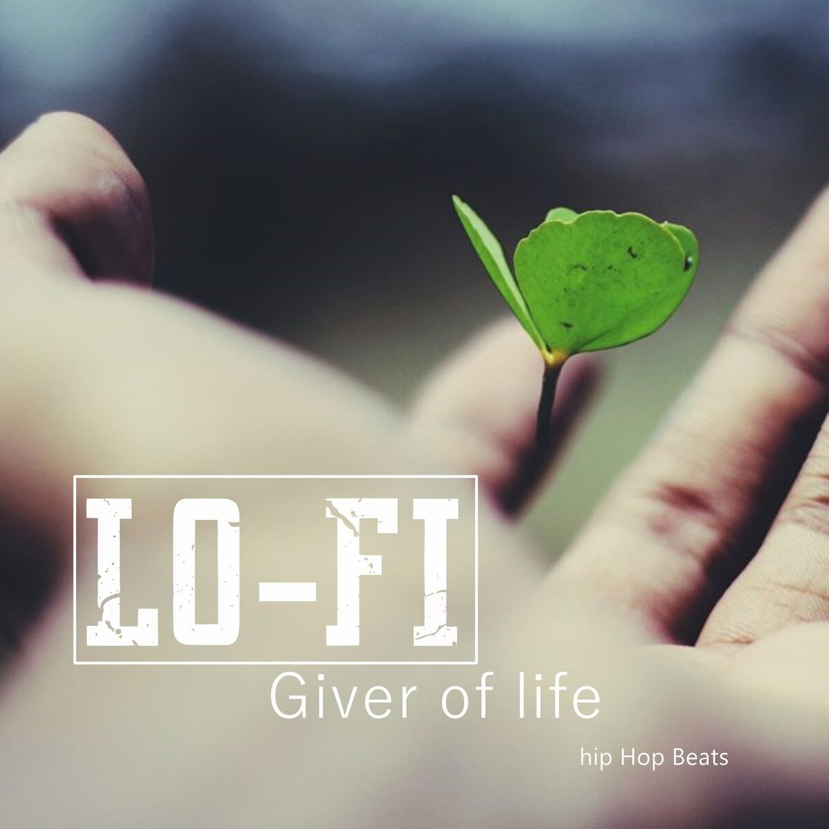 Album cover of GIVER OF LIFE - Lofi Hip Hop Beats