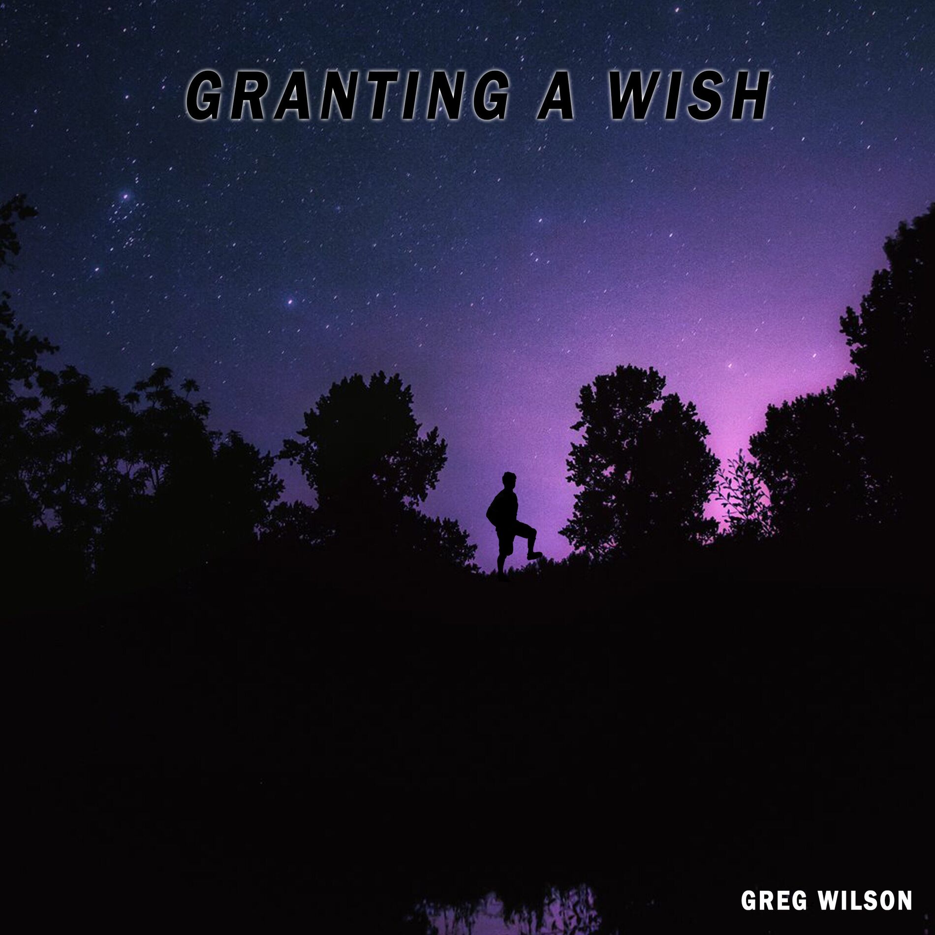 Album cover of Granting A Wish