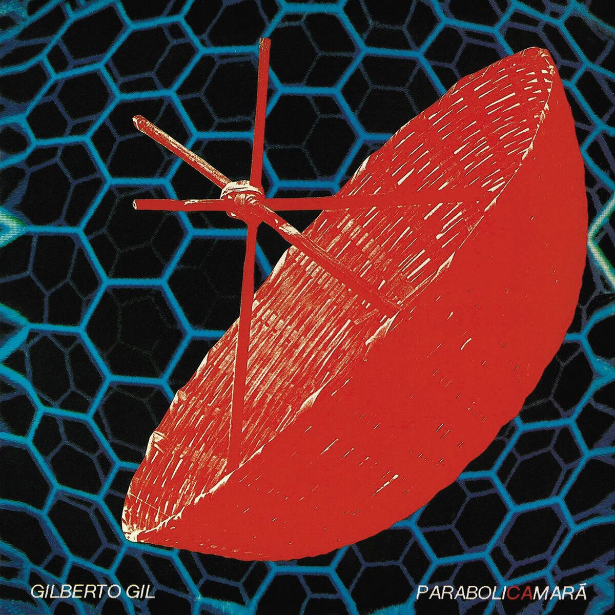 Album cover of Madalena (Entra em beco, sai em beco)