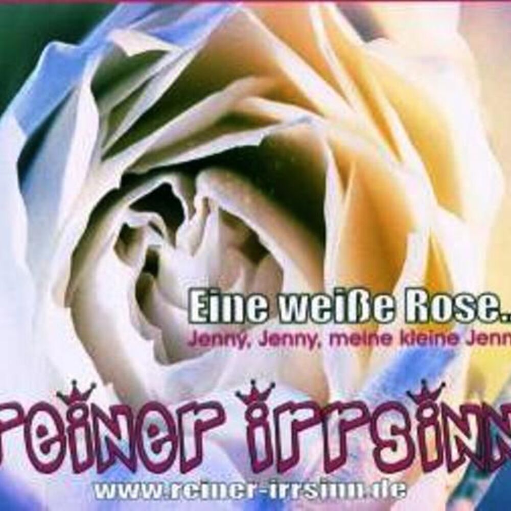 Picture of Eine weiße Rose