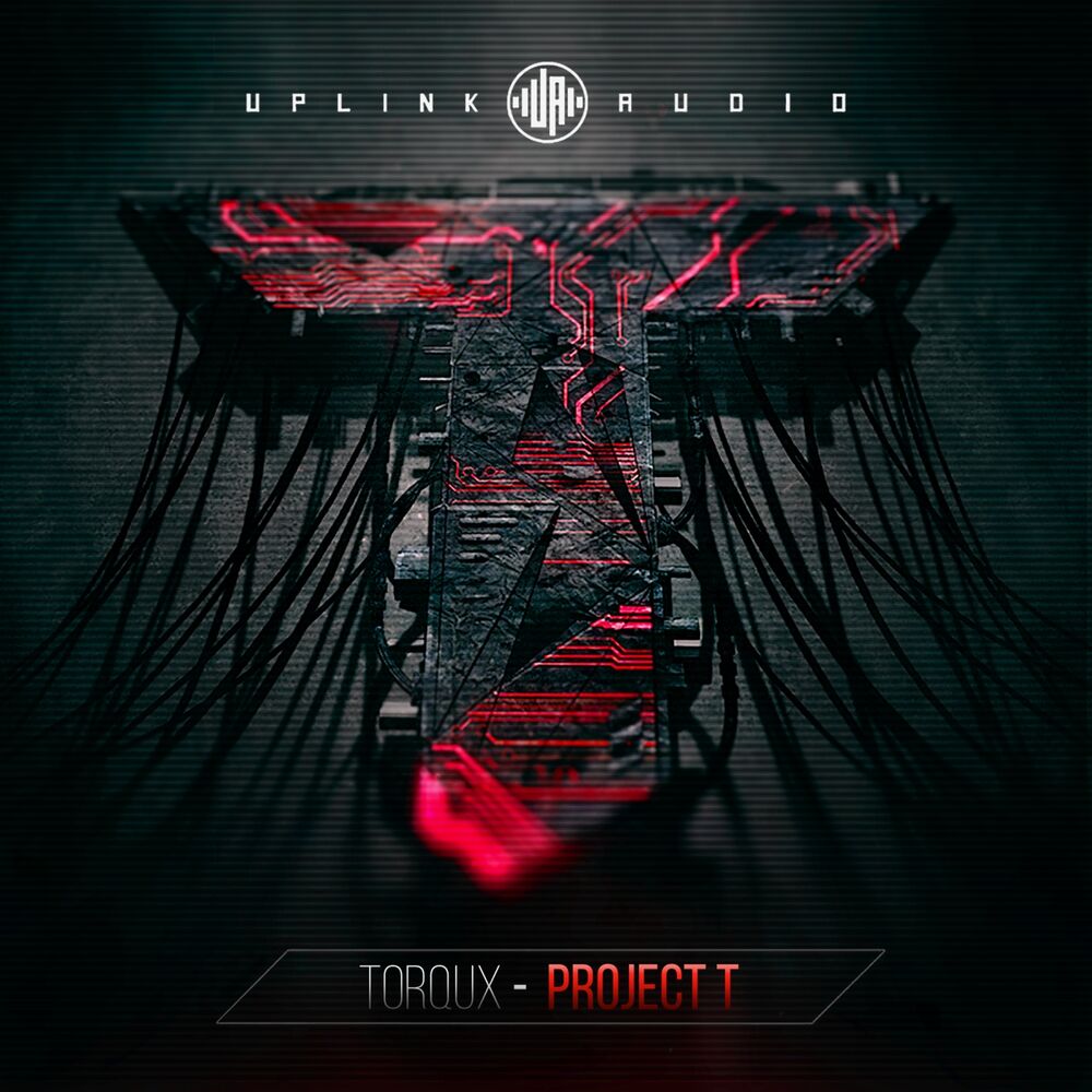 Picture of Project T