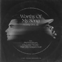 Cover of Worthy of My Song (Worthy of It All)