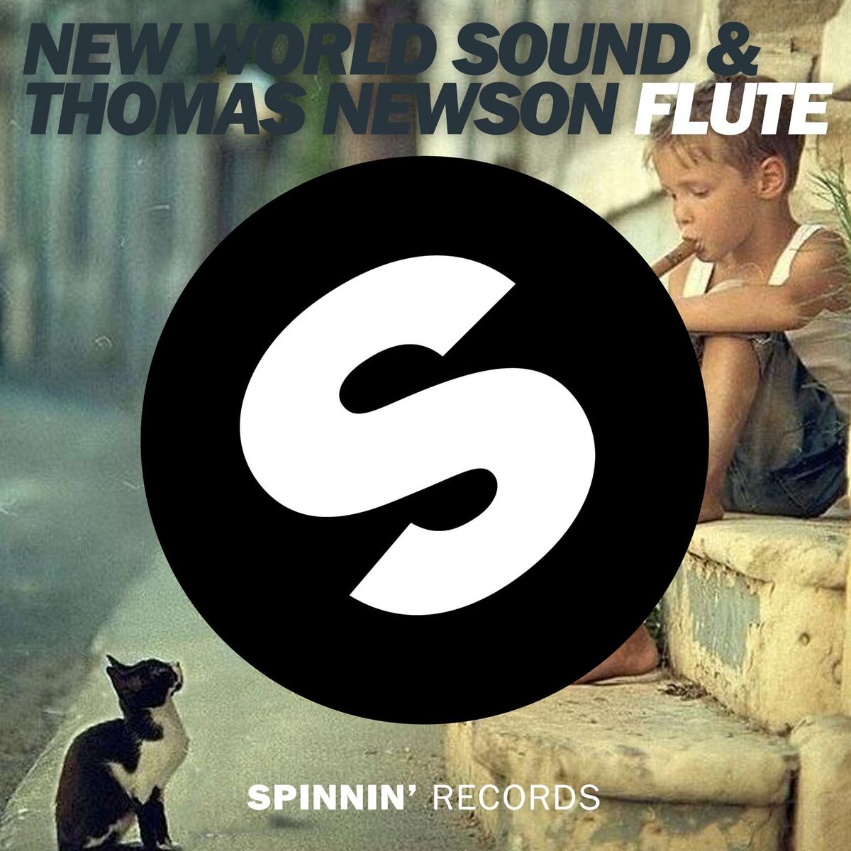 Album cover of Flute (Radio Mix)