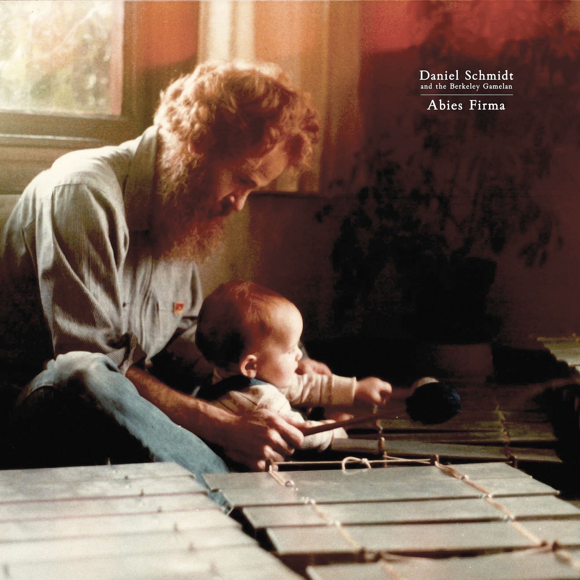 Album cover of Abies Firma