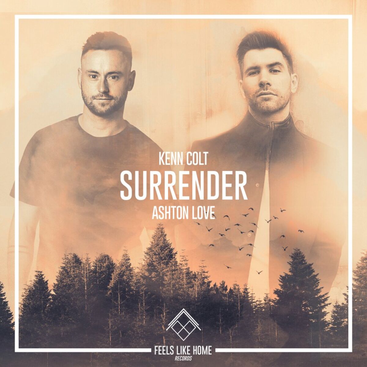 Album cover of Surrender