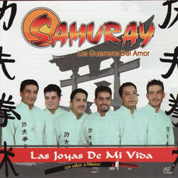 Cover of Las Joyas De Mi Vida