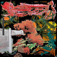 BLACK MIDI レコード black midi: albums, songs, concerts | Deezer