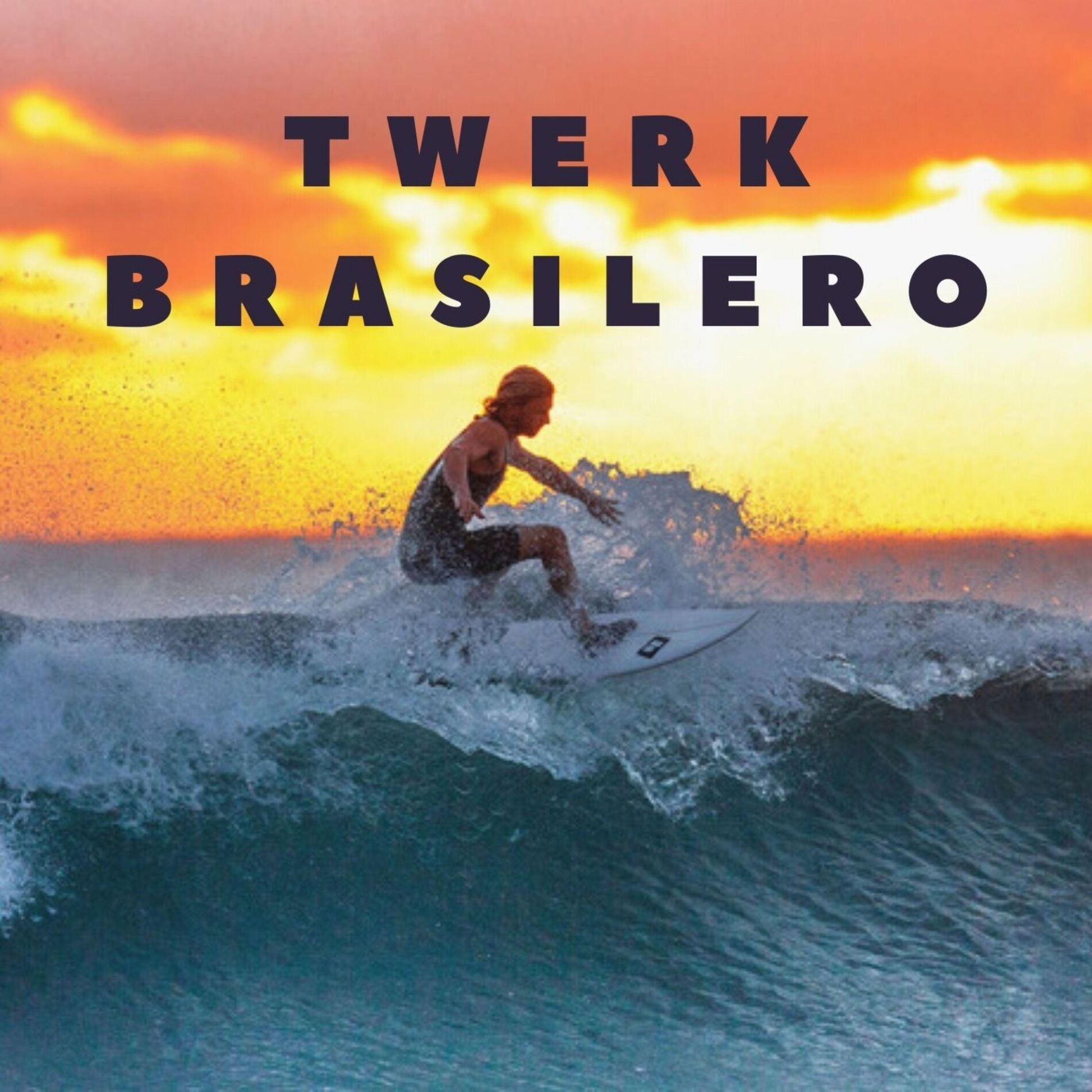 Album cover of Twerk Brasilero
