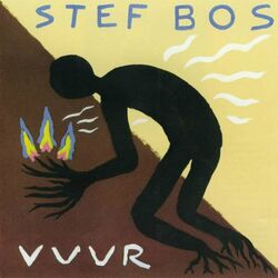 Cover of Vuur