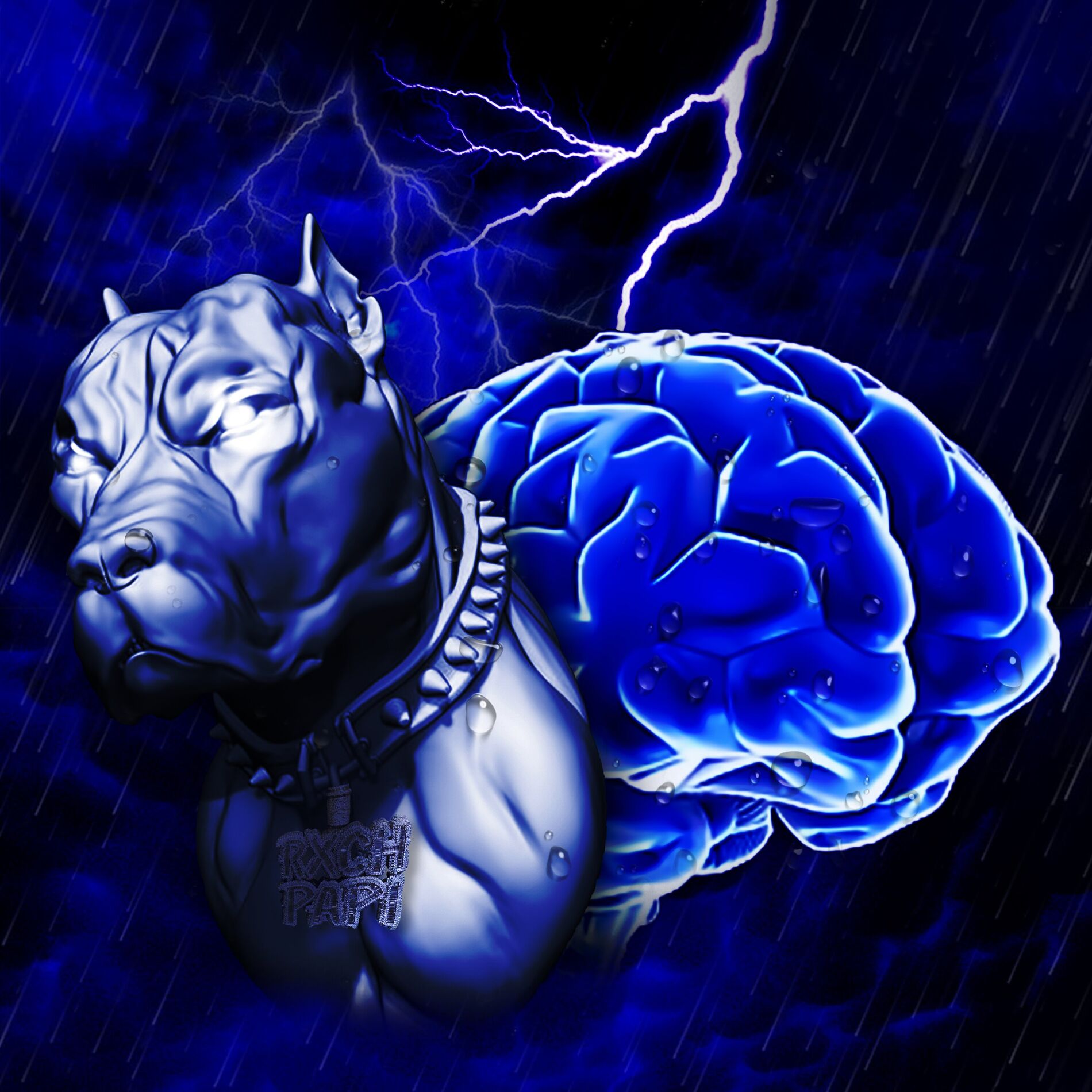 Album cover of Dawg Storm
