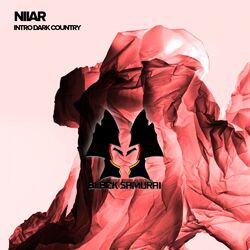 Cover of Intro Dark Country