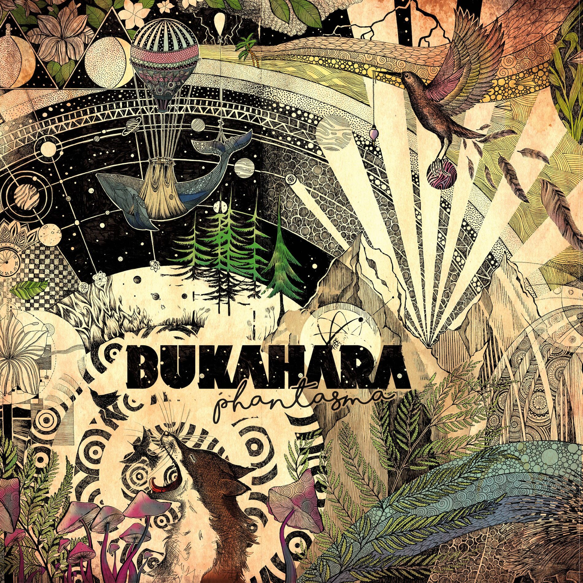 Album picture of Phantasma