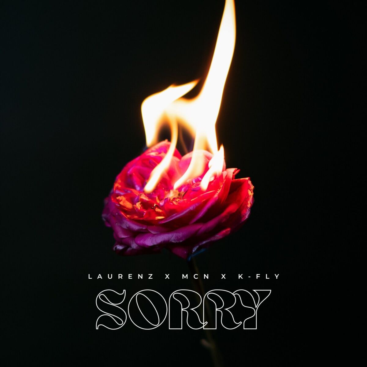 Album cover of Sorry