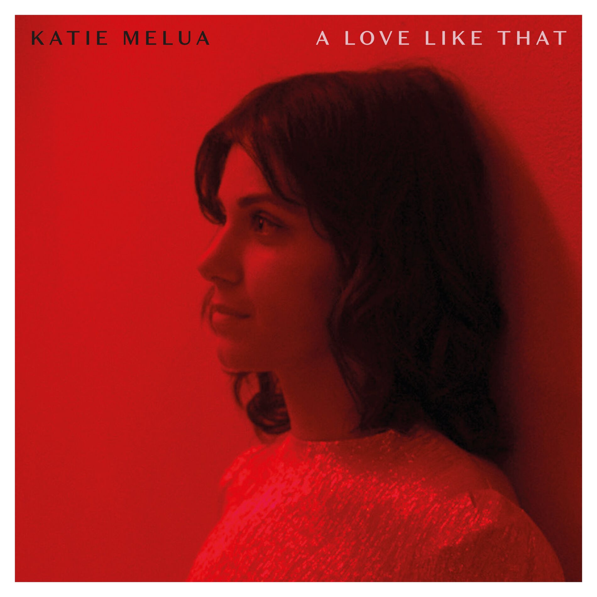 Album cover of A Love Like That