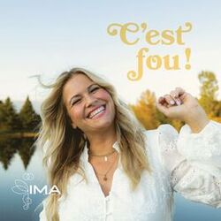 Cover of C'est fou