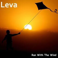 Cover of Run With The Wind
