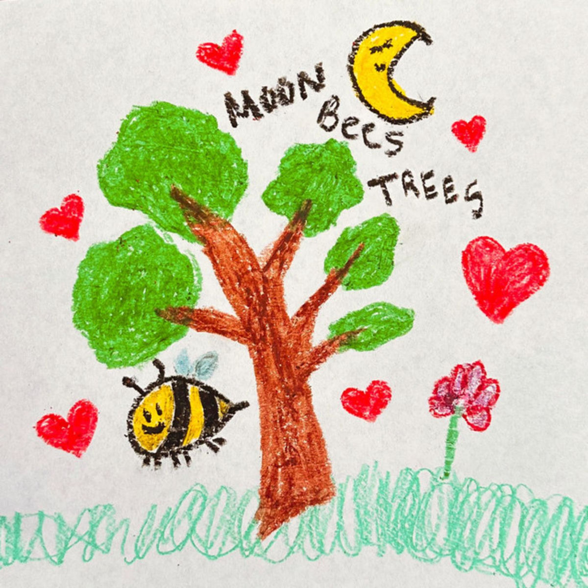 Album cover of Moon Bees Trees