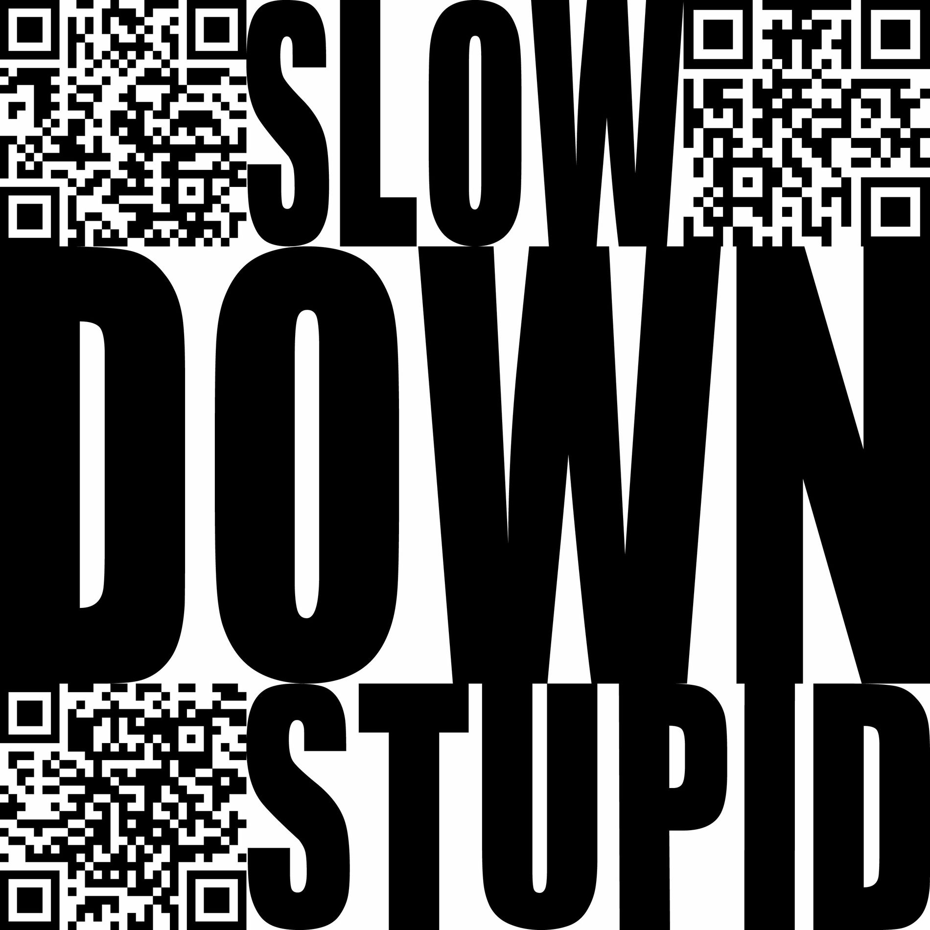Album cover of Slow Down Stupid