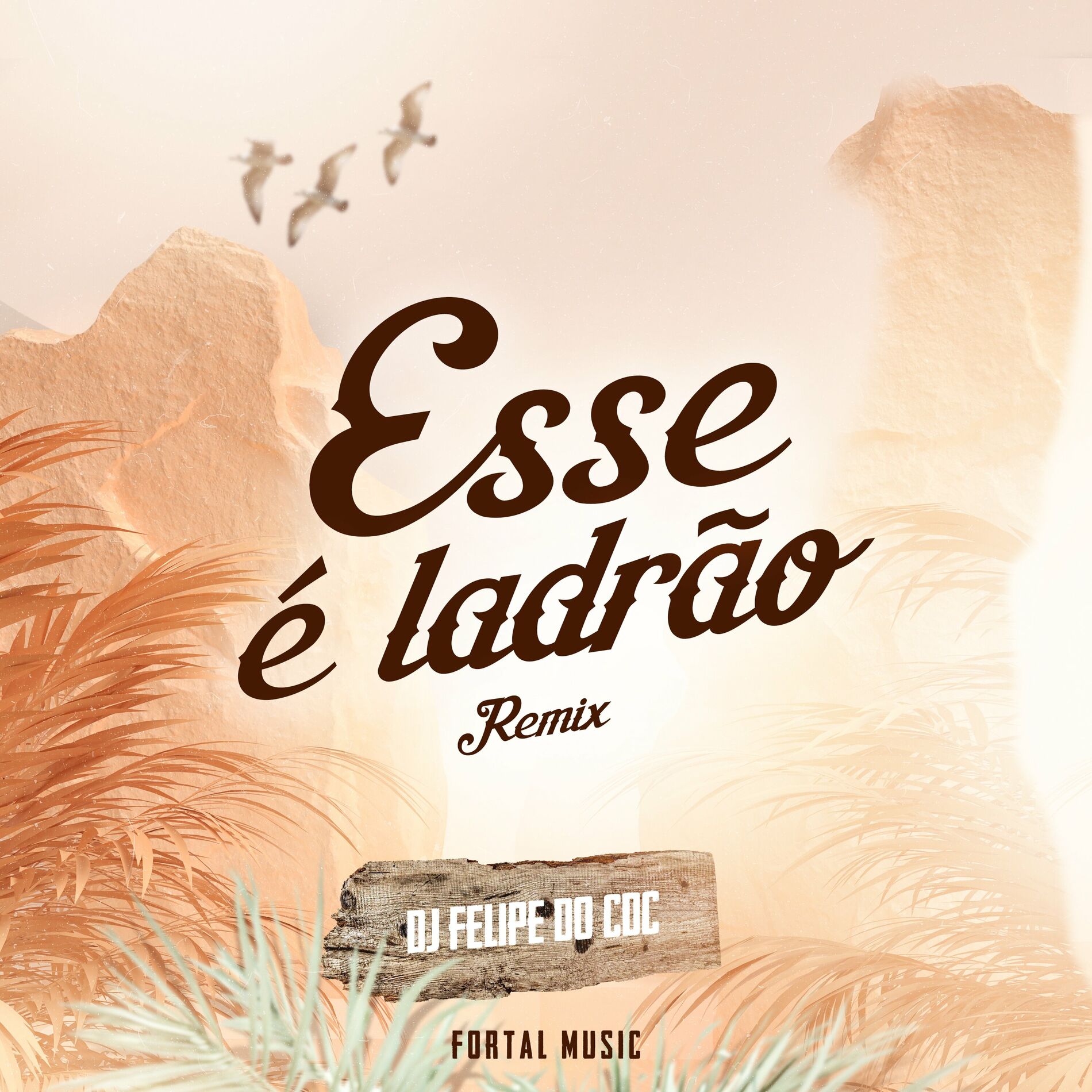 Album cover of Esse é Ladrão (Remix)