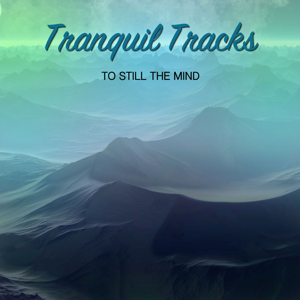 Picture of #20 Tranquil Tracks to Still the Mind