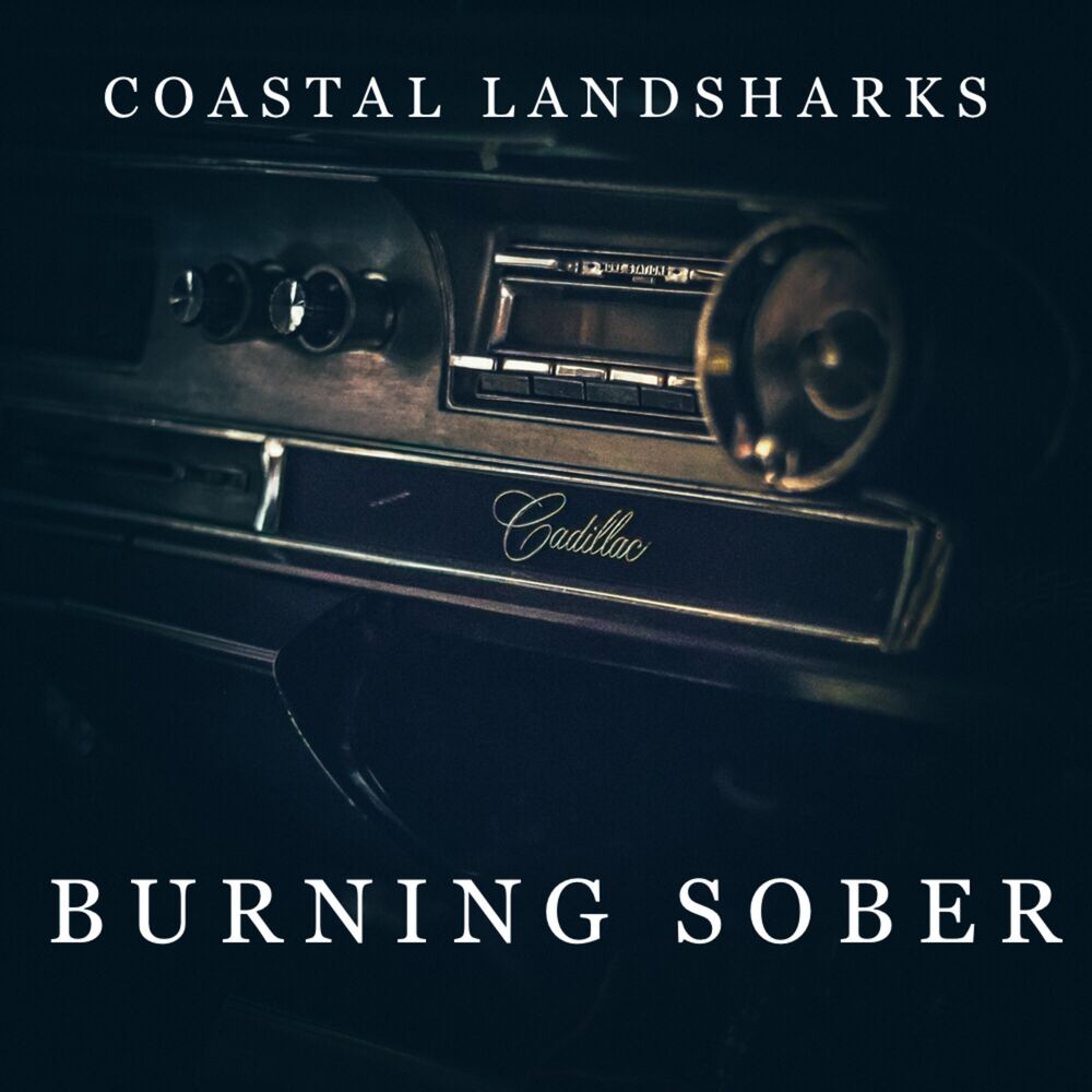 Picture of Burning Sober
