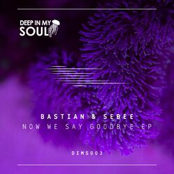Cover of Now We Say Goodbye EP