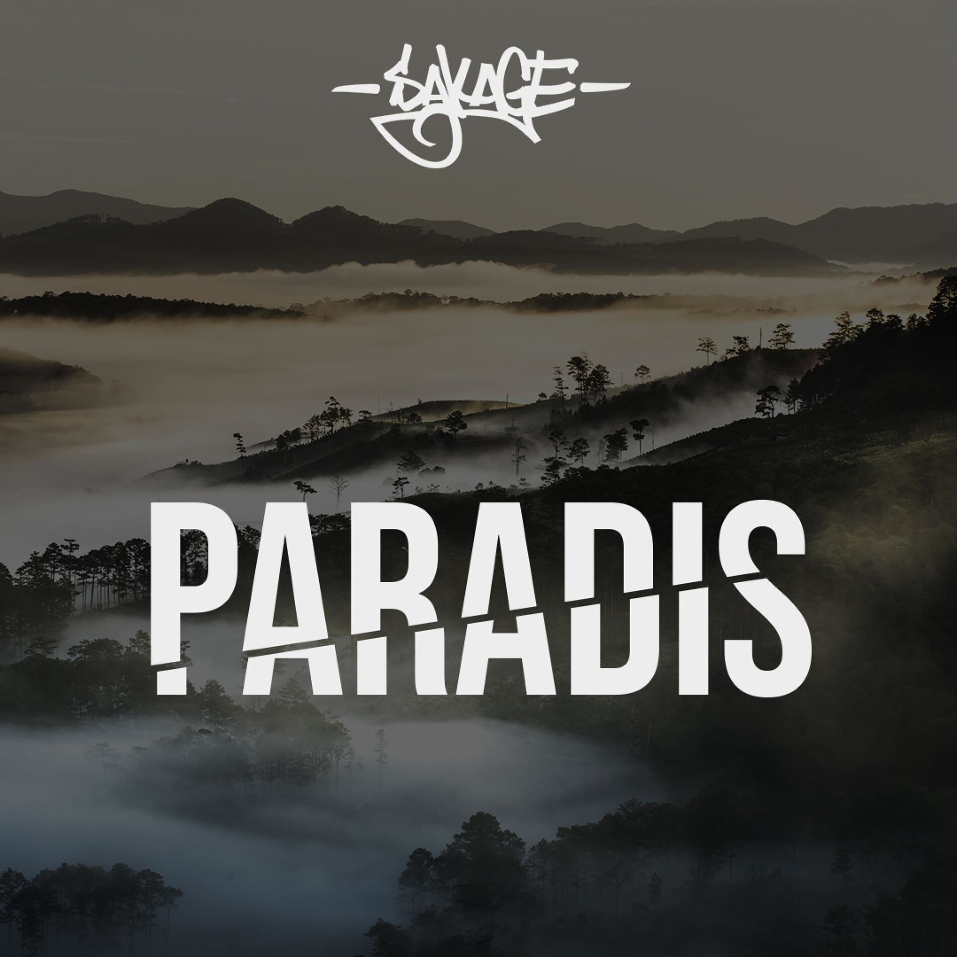 Album cover of Paradis