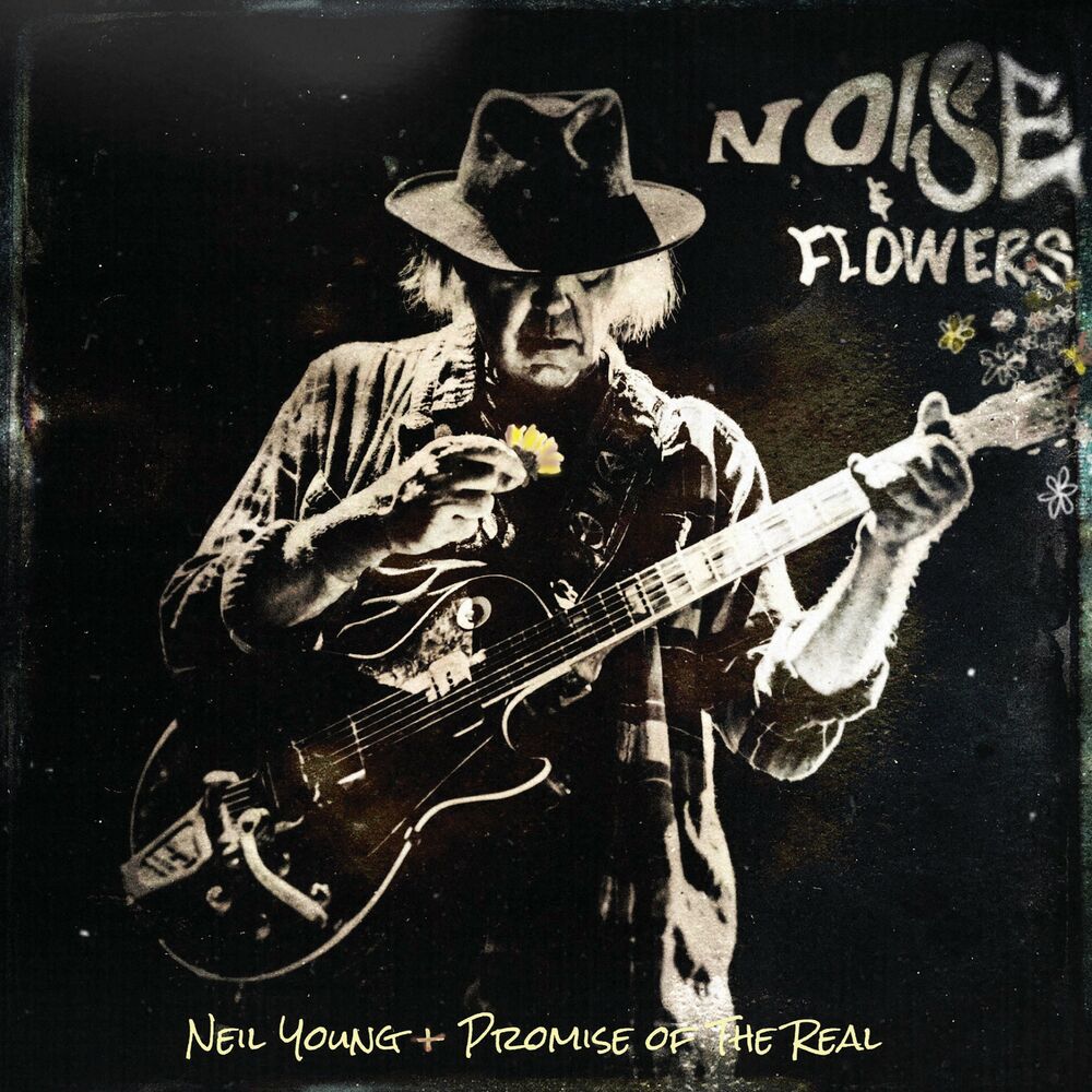 Picture of Noise and Flowers (Live)