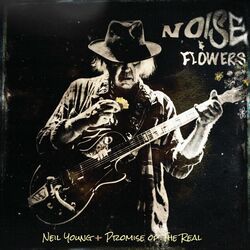 Cover of Noise and Flowers (Live)