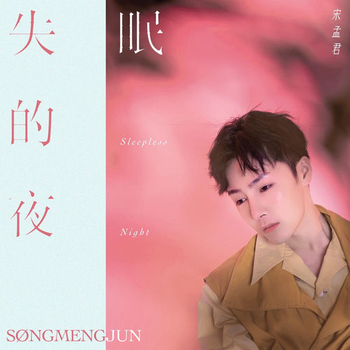 失眠的夜 - DJ沈念版 by 宋孟君 - 140 BPM