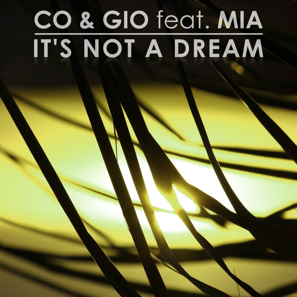 Picture of It's Not a Dream