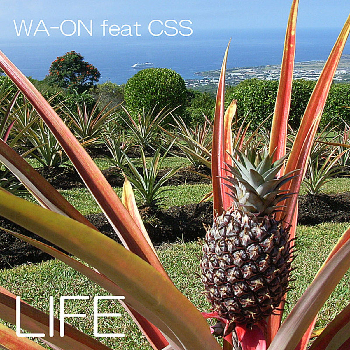 Album cover of Life