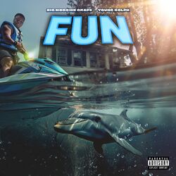 Cover of Fun