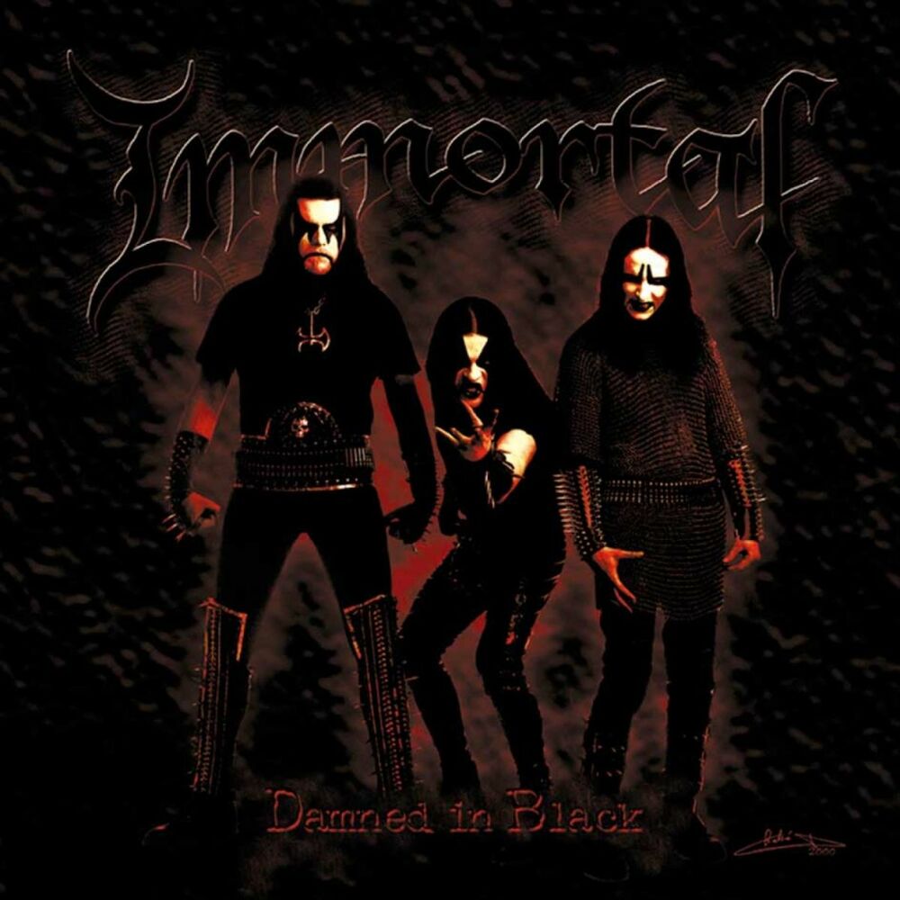Picture of Damned In Black