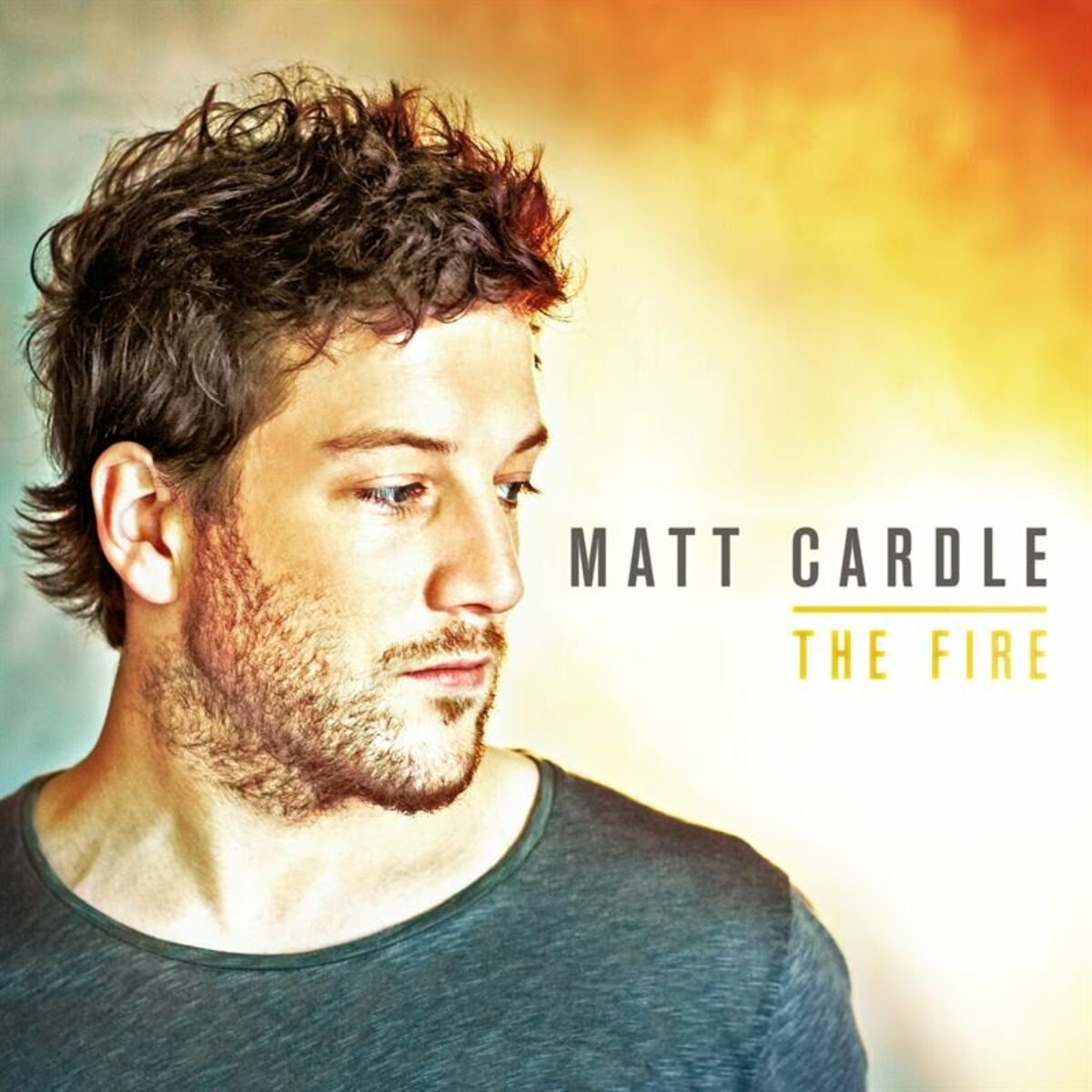 Album cover of The Fire