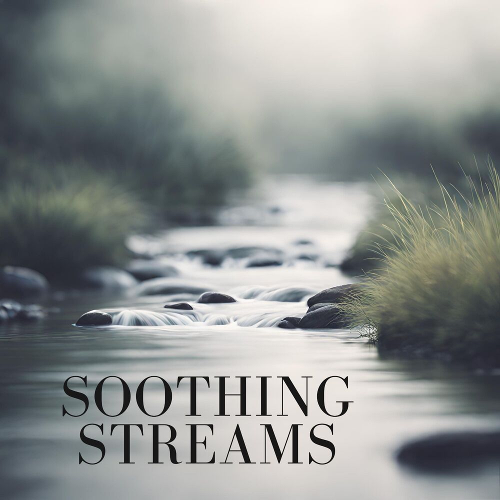 Picture of Soothing Streams: Spiritual Aquatic Sounds