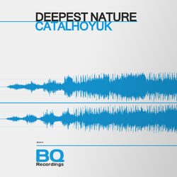 Cover of Catalhoyuk