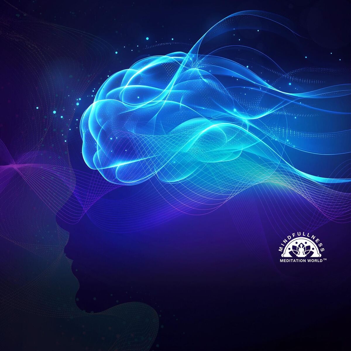 Album cover of Focus Alpha to Theta Brainwave for Peak Study Performance