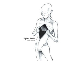 Cover of Il Pozzo D'Amor