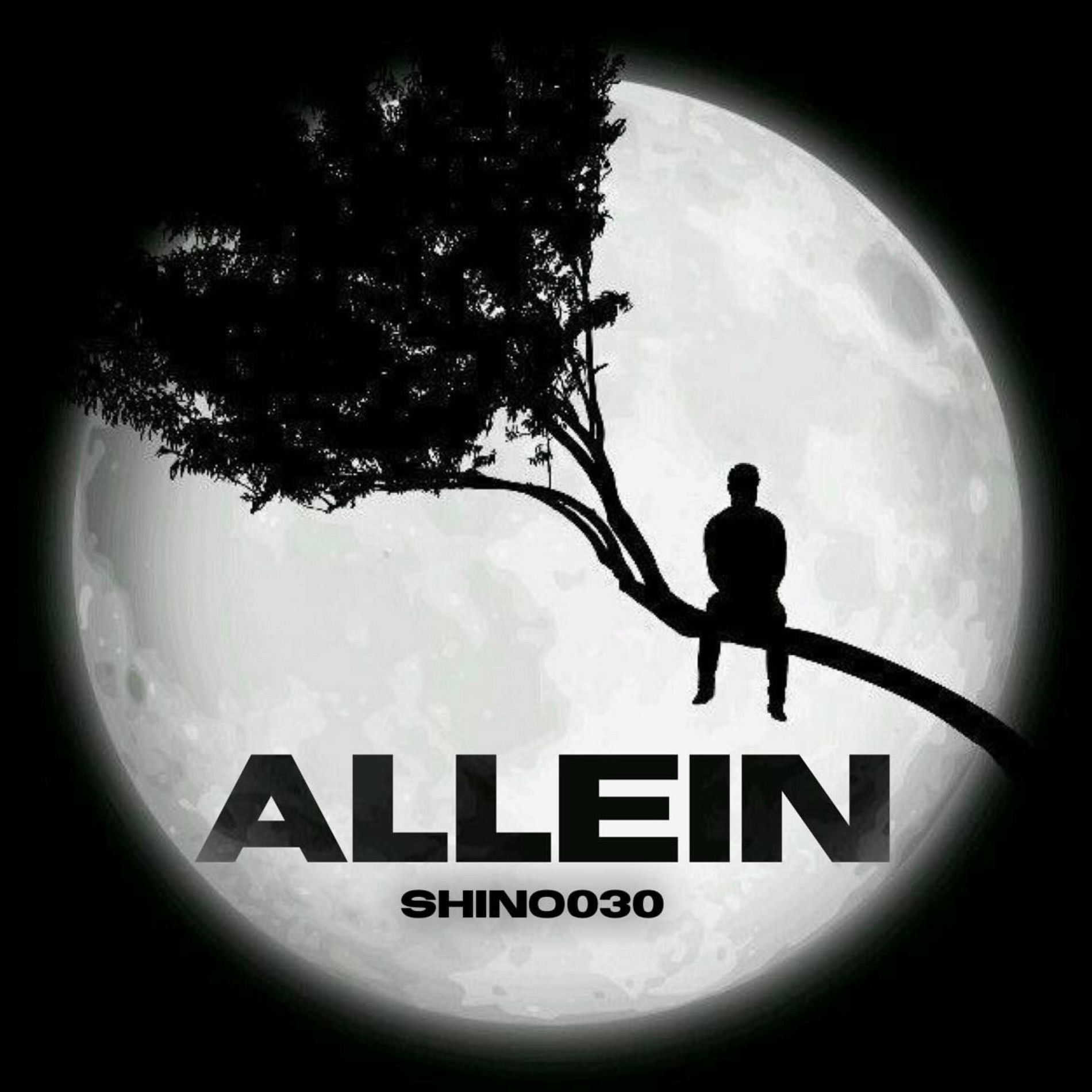 Album cover of Allein