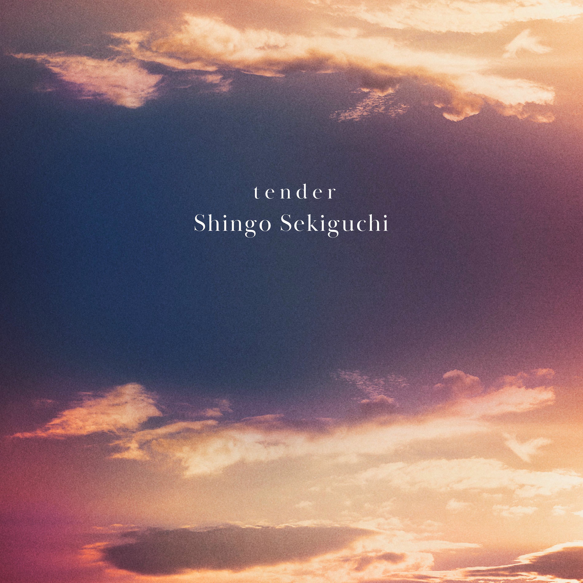 Album cover of tender
