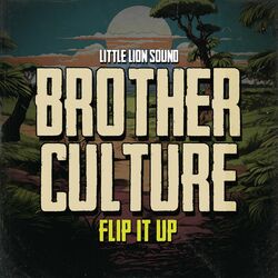 Cover of Flip It Up