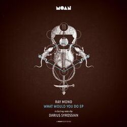 Cover of What Would You Do EP