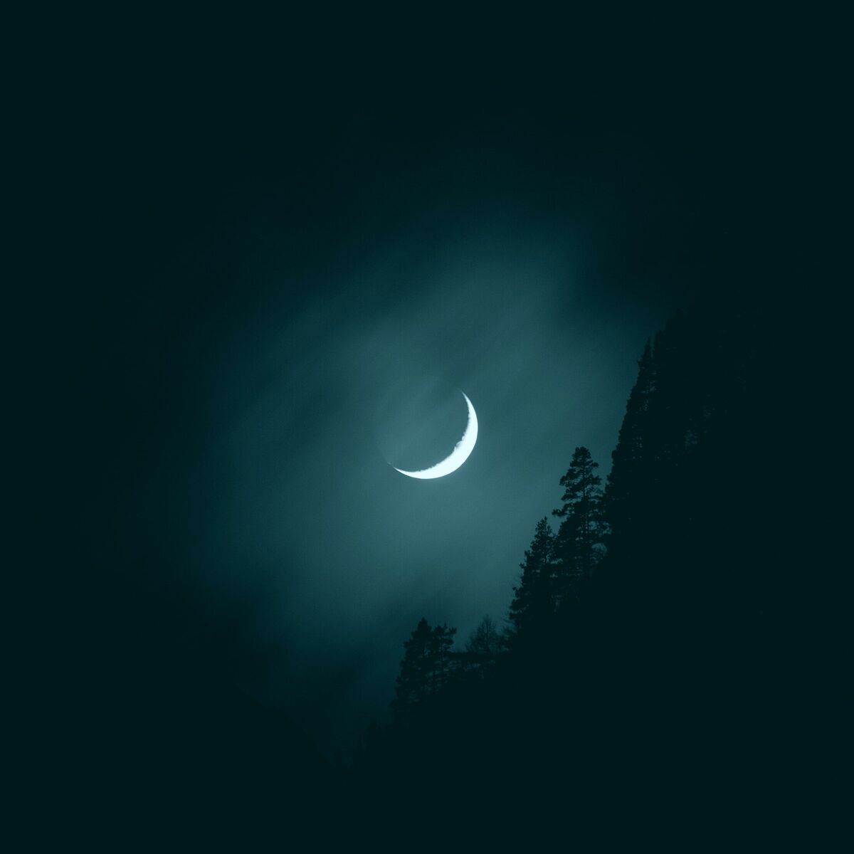 Album cover of Je te laisserai des mots