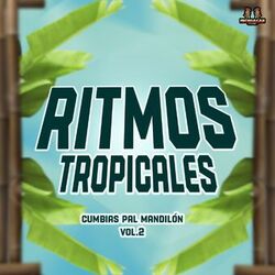 Cover of Cumbias Pal Mandilon Vol. 2